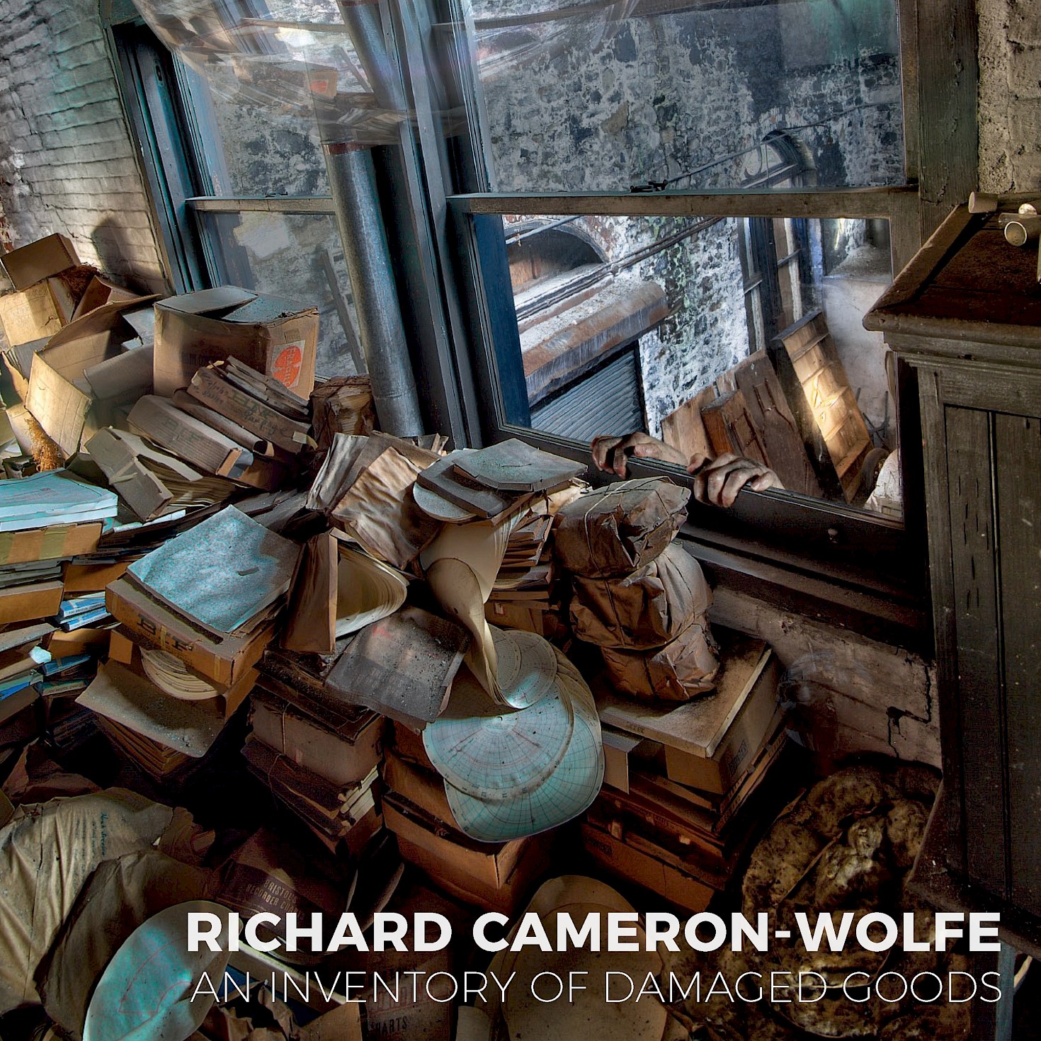 Richard Cameron-Wolfe: An Inventory of Damaged Goods cover