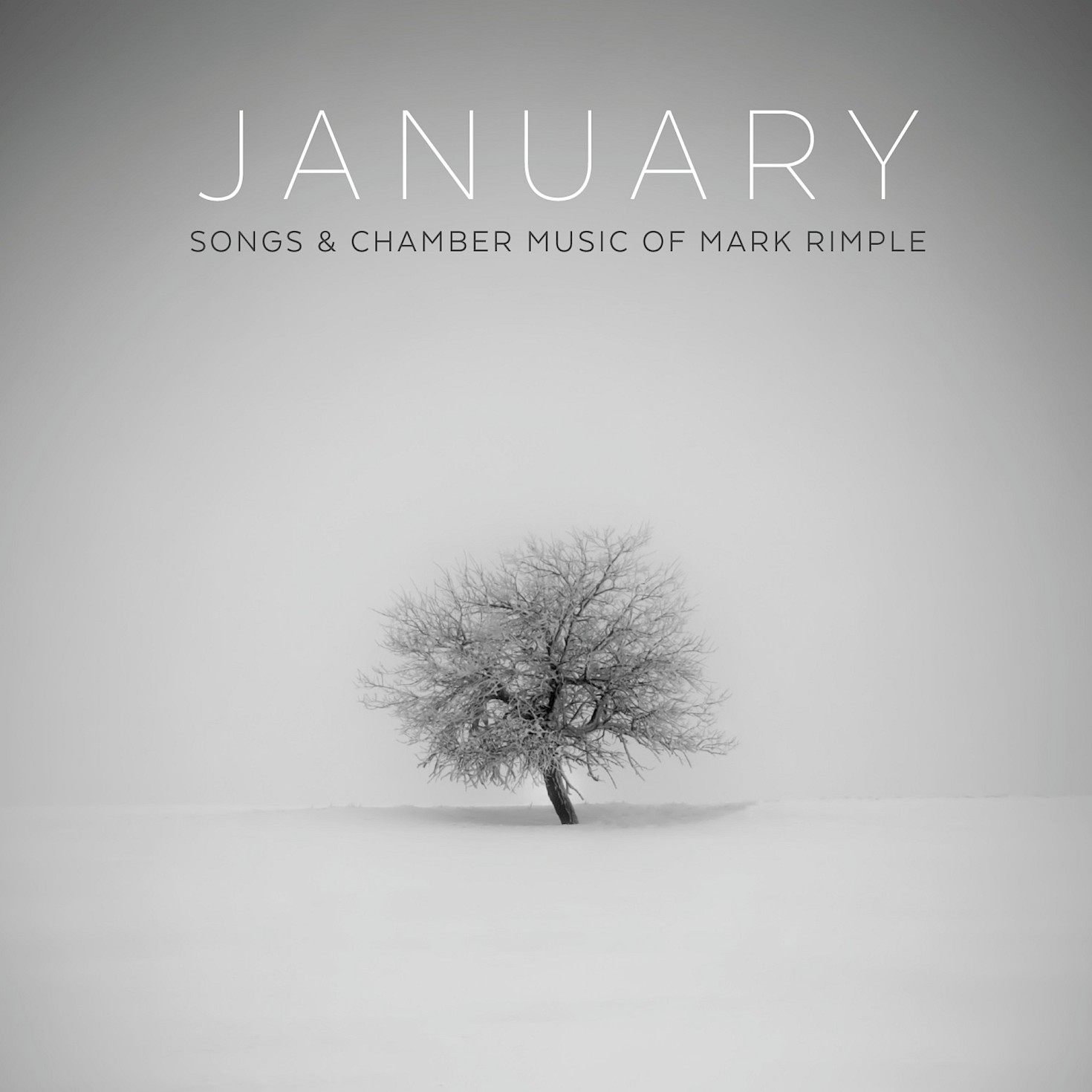 January: Songs & Chamber Music of Mark Rimple cover