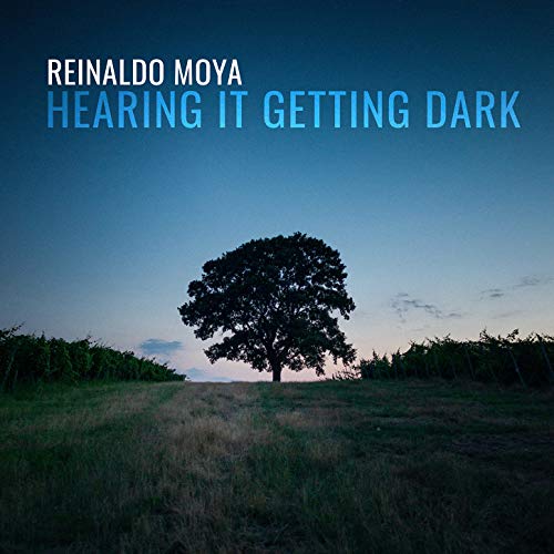 Reinaldo Moya: Hearing It Getting Dark cover